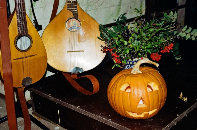 Herbstgekümmel